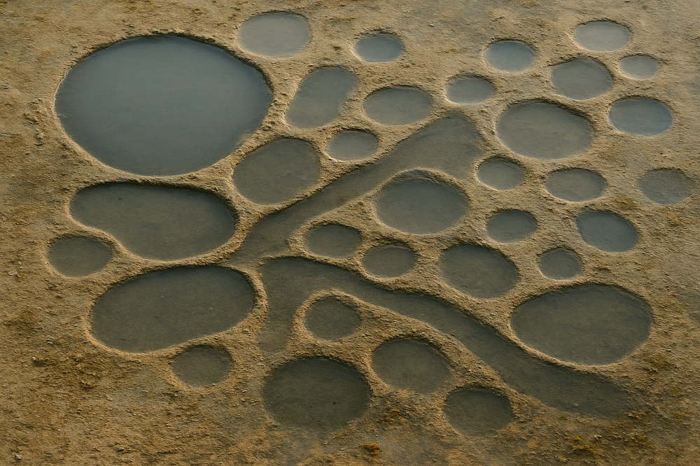 Metadatos como revuelta (07 de 10)