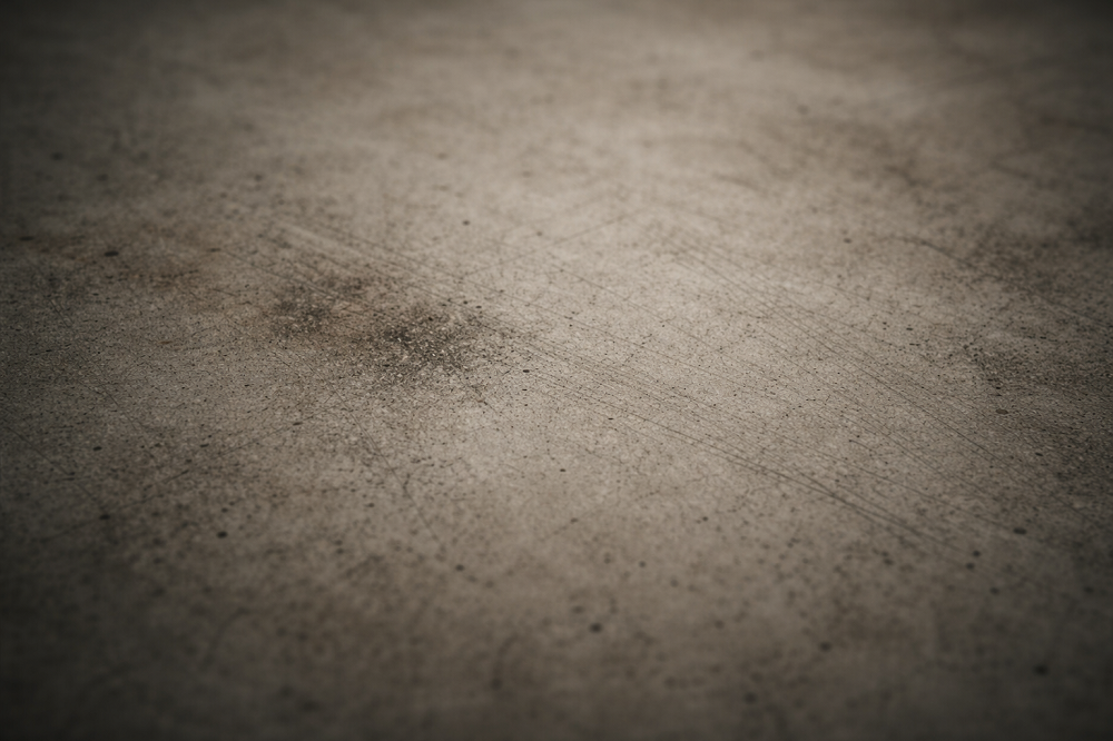 Ecosemiotic Fieldnotes (07)