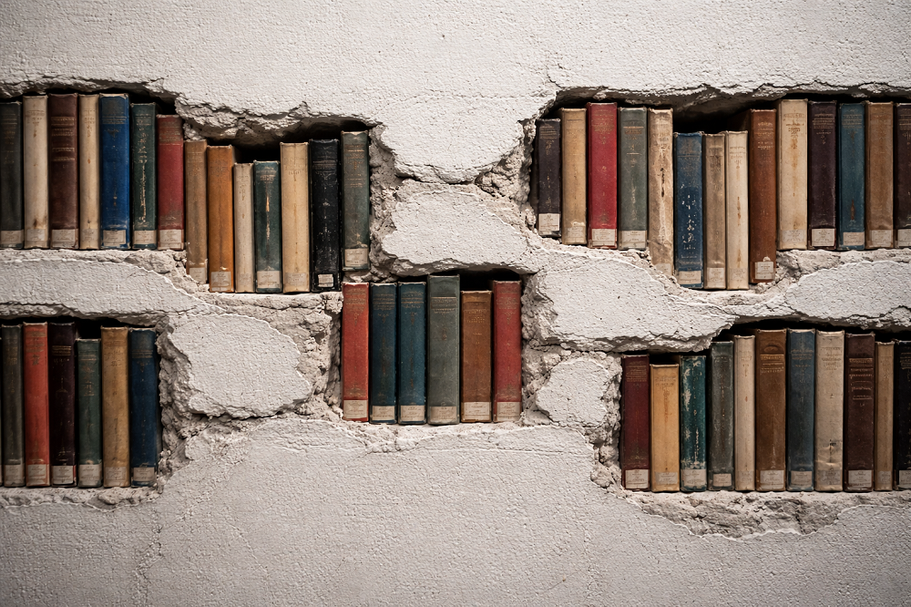 Bibliotecología comunitaria con un giro decolonial (02)