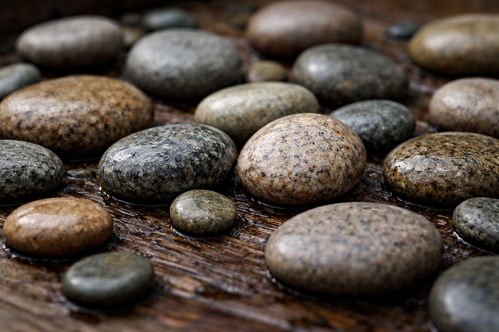 Notas de campo ecosemióticas (08)